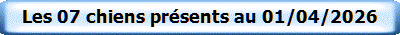Les 07 chiens présents au 01/04/2026